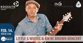 Little G Weevil & Kc Brown koncertje Cegléd plakát