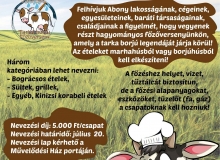 VII. Tó Party és Abonyi Tarkaborjú Főzőverseny