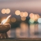 Spirituális Kör - Ezoterikus előadás sorozat