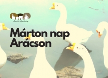 2025. Arácsi Márton-nap és újbor kóstoló