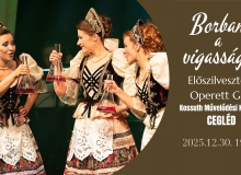 Borban a vigasság! Előszilveszteri Operett Gála