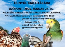Galamb-, díszbaromfi-, díszmadár- és nyúlkiállítás