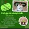 Gyógynövény Klub