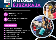 Mozgás éjszakája