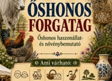 I. Őshonos forgatag