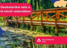 Geobotanikai séta a Hévízi-tó körüli véderdőben