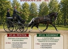 Abonyi Fogathajtó verseny