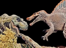 Mini Dinoszaurusz Modell és Dioráma kiállítás