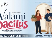 VALAMI BACILUS