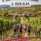 JÖN AZ 1. BÉNI WINE FARMATLON!