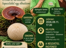 Előadássorozat