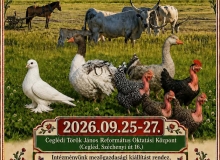 Magyar Kisállatfajták Napja