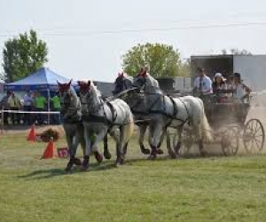 XXII. Amatőr Fogathajtó Verseny Tápiószőlős