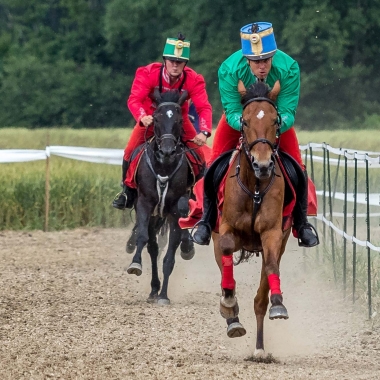 Horse race Lendava