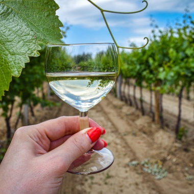 Szüreti Mulatság Nyársapát