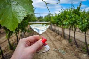 Szüreti Mulatság Nyársapát plakát