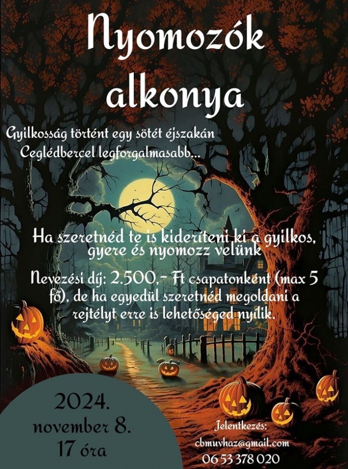 Nyomozók alkonya