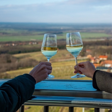 Vina z razgledom na stolpu Vinarium z Vinsko kraljico Slovenije Lendava