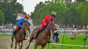 Pomurski galop Lendava plakát