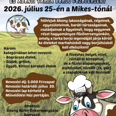 VII. Tó Party és Abonyi Tarkaborjú Főzőverseny Abony