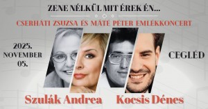 Zene nélkül mit érek én... Cegléd plakát