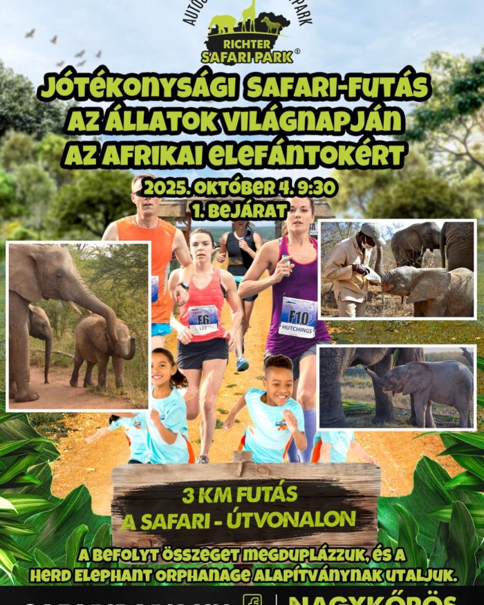 Jótékonysági Safari-futás