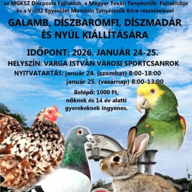 Galamb-, díszbaromfi-, díszmadár- és nyúlkiállítás Abony
