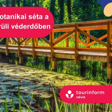 Geobotanikai séta a Hévízi-tó körüli véderdőben Hévíz