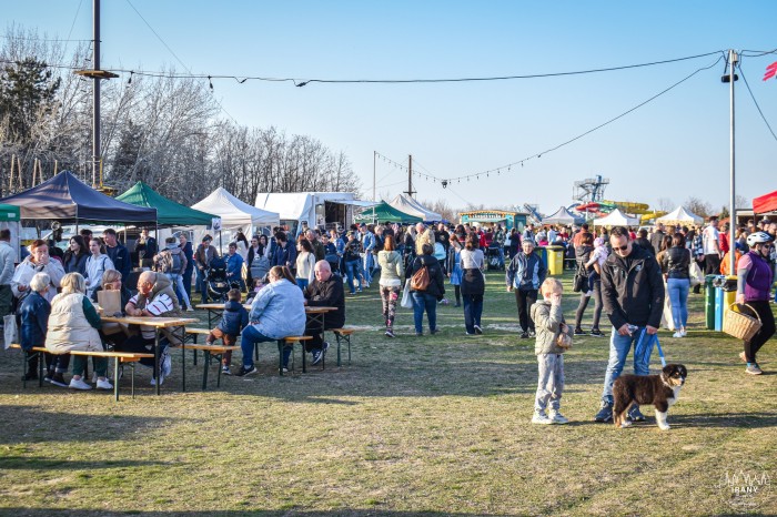 Tóparti Kézműves és Termelői Piac