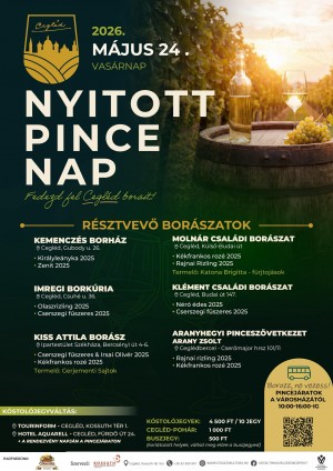 NYITOTT PINCE NAP CEGLÉDEN Cegléd plakát