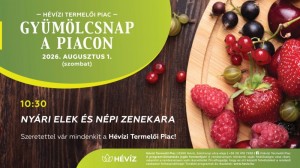 GYÜMÖLCSNAP A PIACON Hévíz plakát