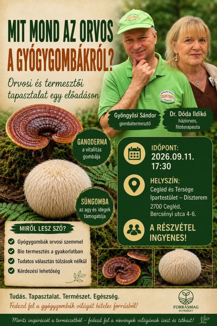 Előadássorozat